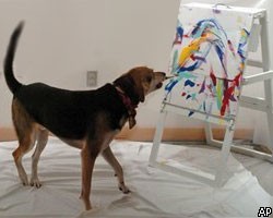 Собака-художник покорила галереи Нью-Йорка 