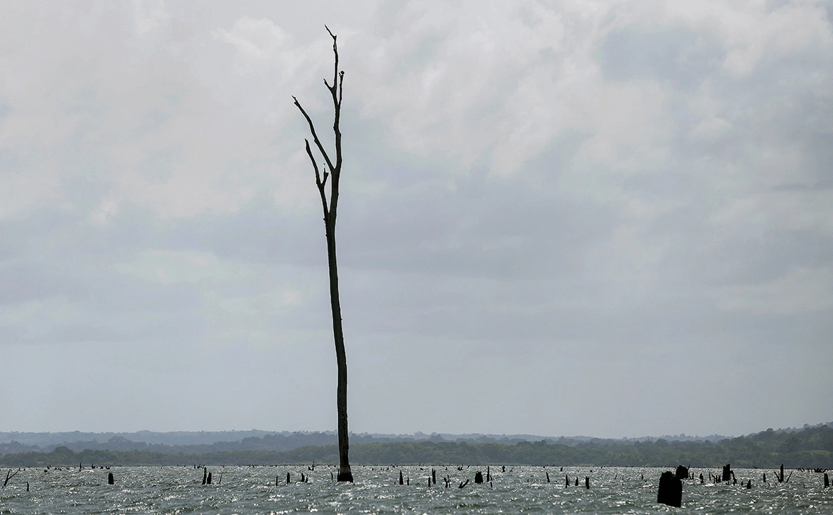 Carlos Lemos / EPA / ТАСС