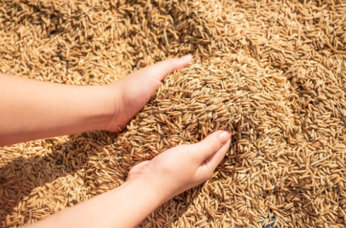 Фото: freepik.com