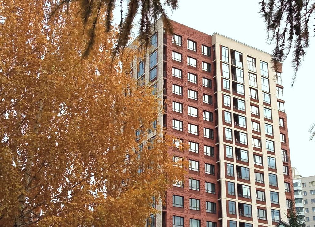 Фото: Анна Иванова / РБК Новосибирск