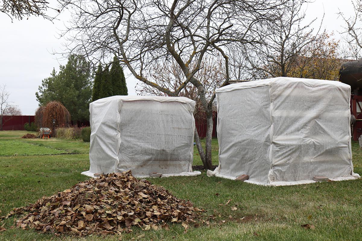 Как подготовить дачный участок к летнему сезону