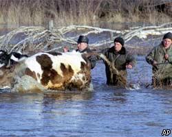 МЧС России: Пик наводнений придется на конец апреля