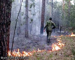 В Сибири за сутки потушено 440 га горящих лесов