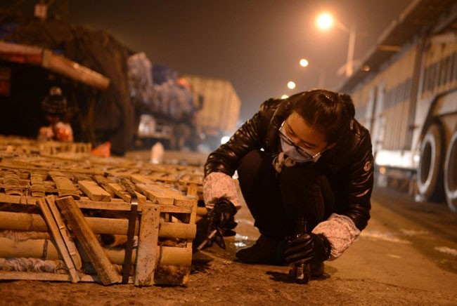 Набитый живыми кошками грузовик перевернулся в Китае. ФОТО