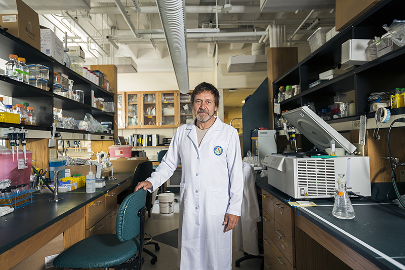 Биолог Слава Эпштейн с командой изобрел новый метод выращивания бактерий, благодаря которому начались доклинические испытания 30 новых антибиотиков
