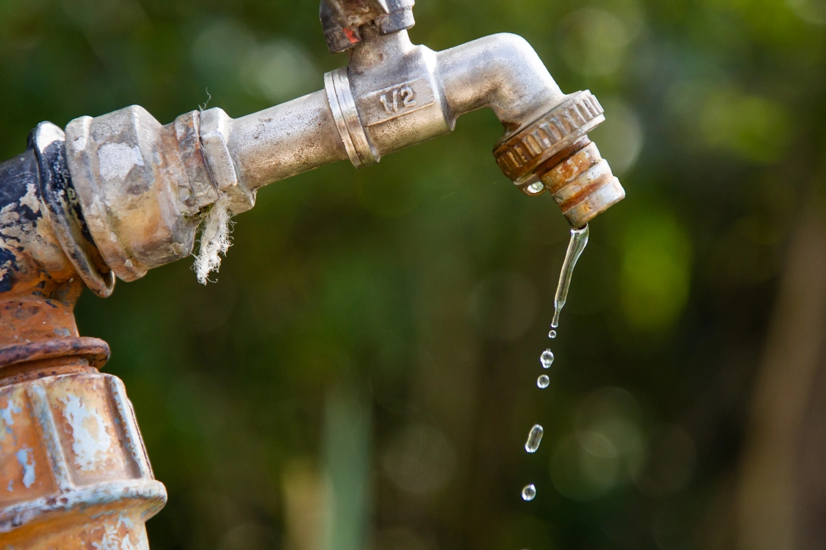 Александр Подгорчук