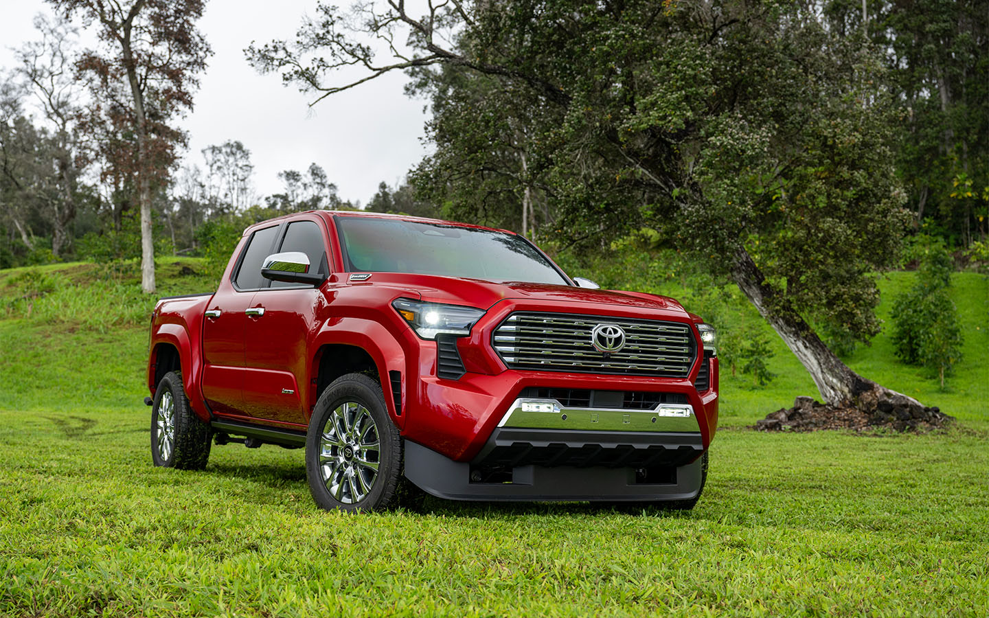 Toyota Tacoma