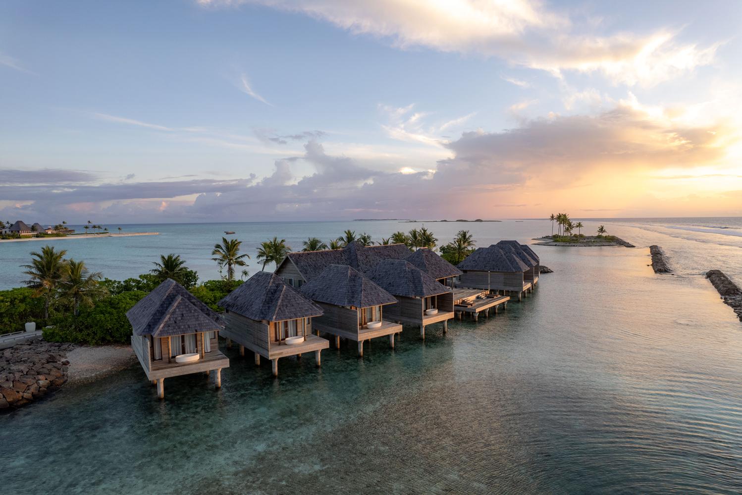 Фото: пресс-служба