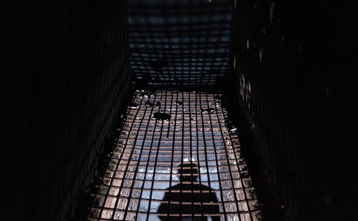 Станислав Красильников / ТАСС