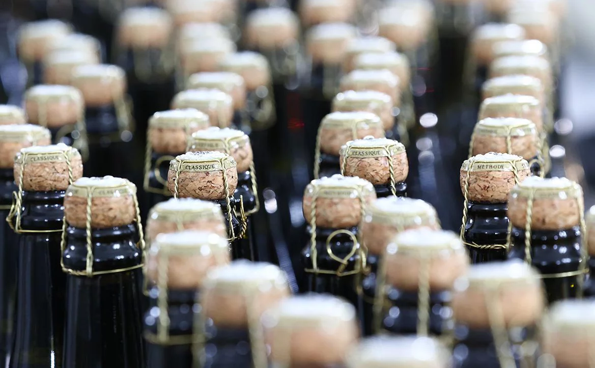 Дмитрий Феоктистов / ТАСС