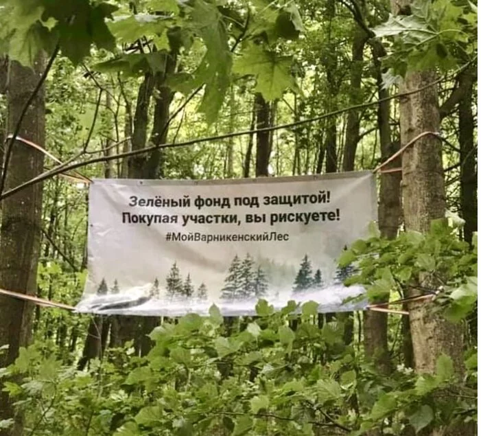 КРСОО «Зеленая волна»