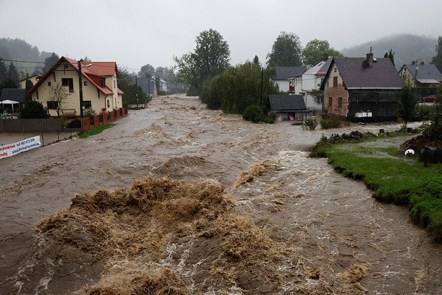 Фото: David W Cerny / Reuters