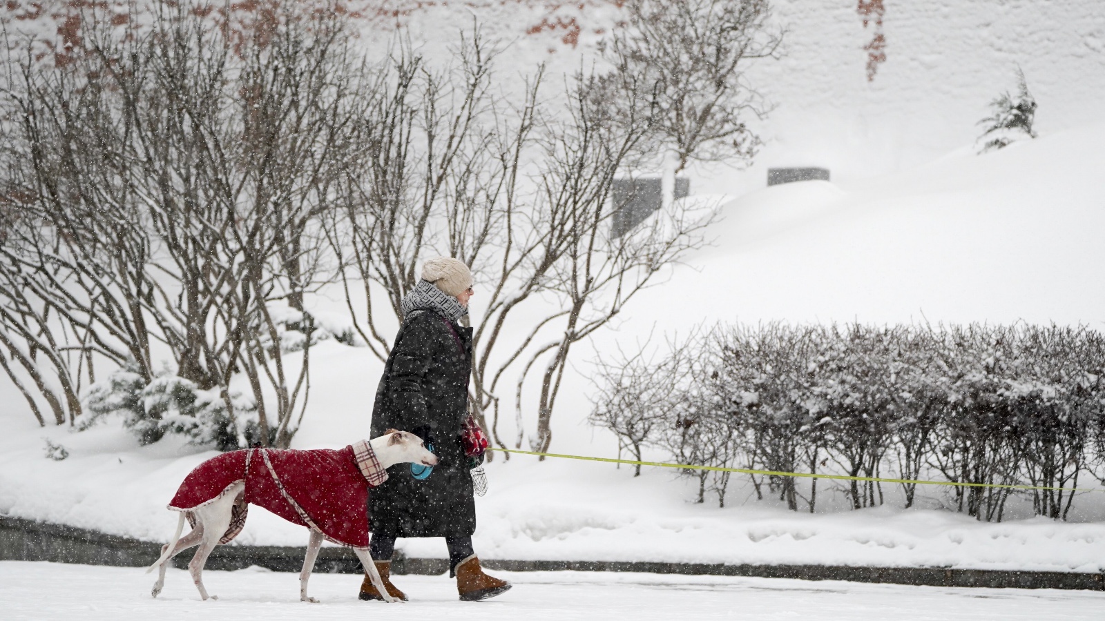 Гидрометцентр пообещал наступающую зиму в России холоднее предыдущей