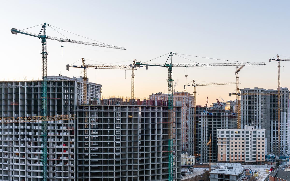 Фото: Afanasiev Andrii / Shutterstock / FOTODOM