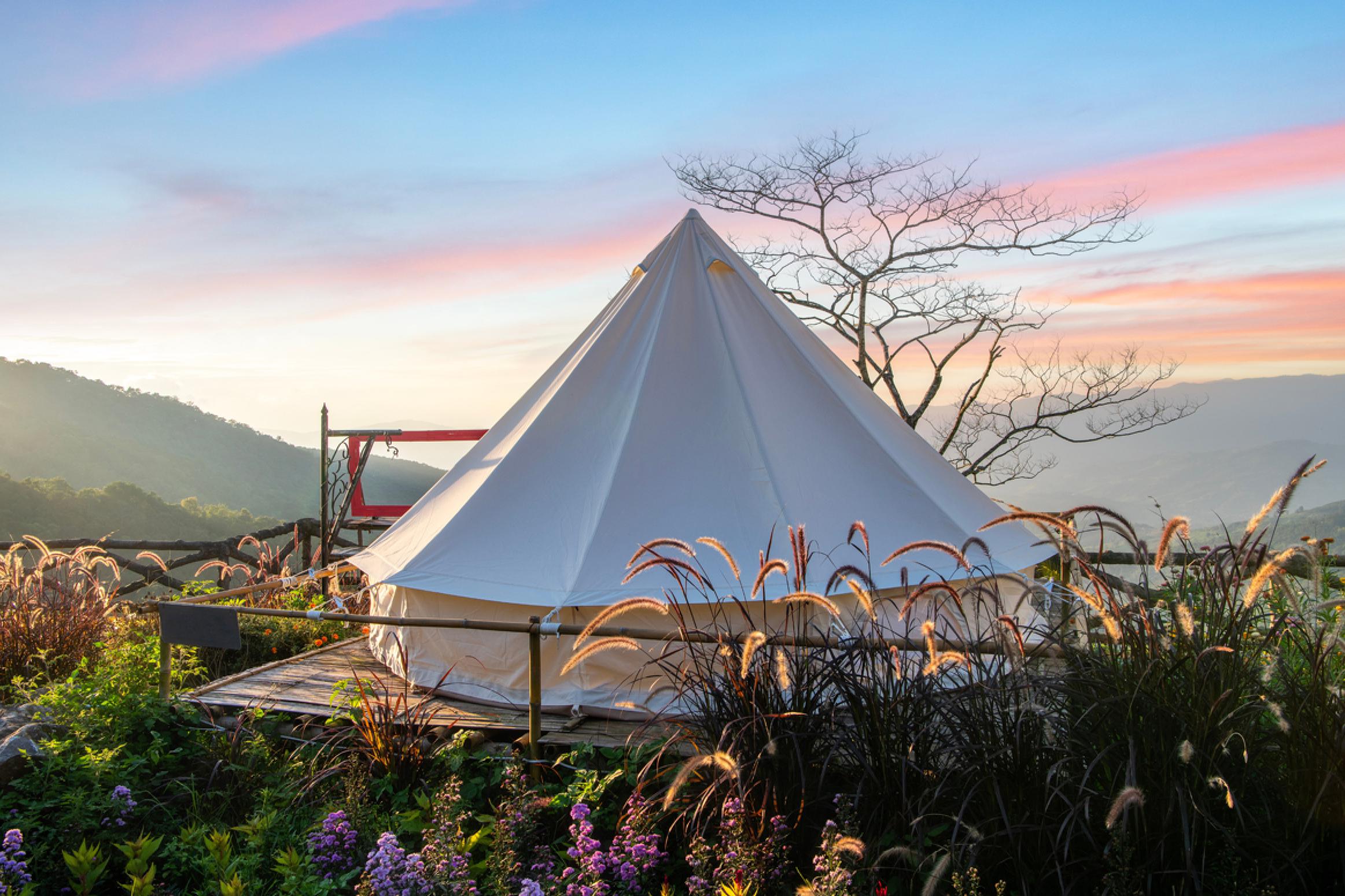 Фото: Shutterstock