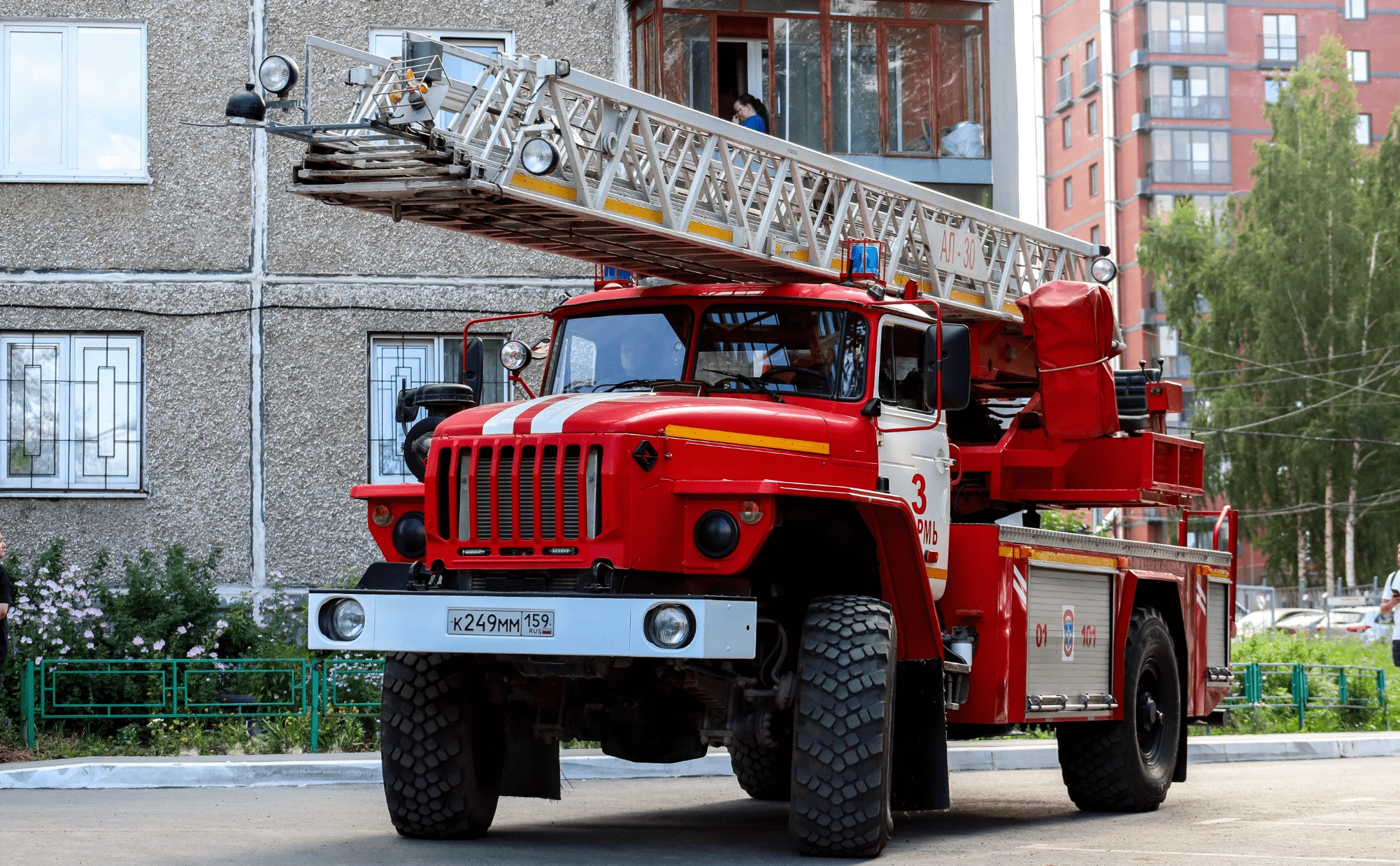 Elena Mayorova / Global look press