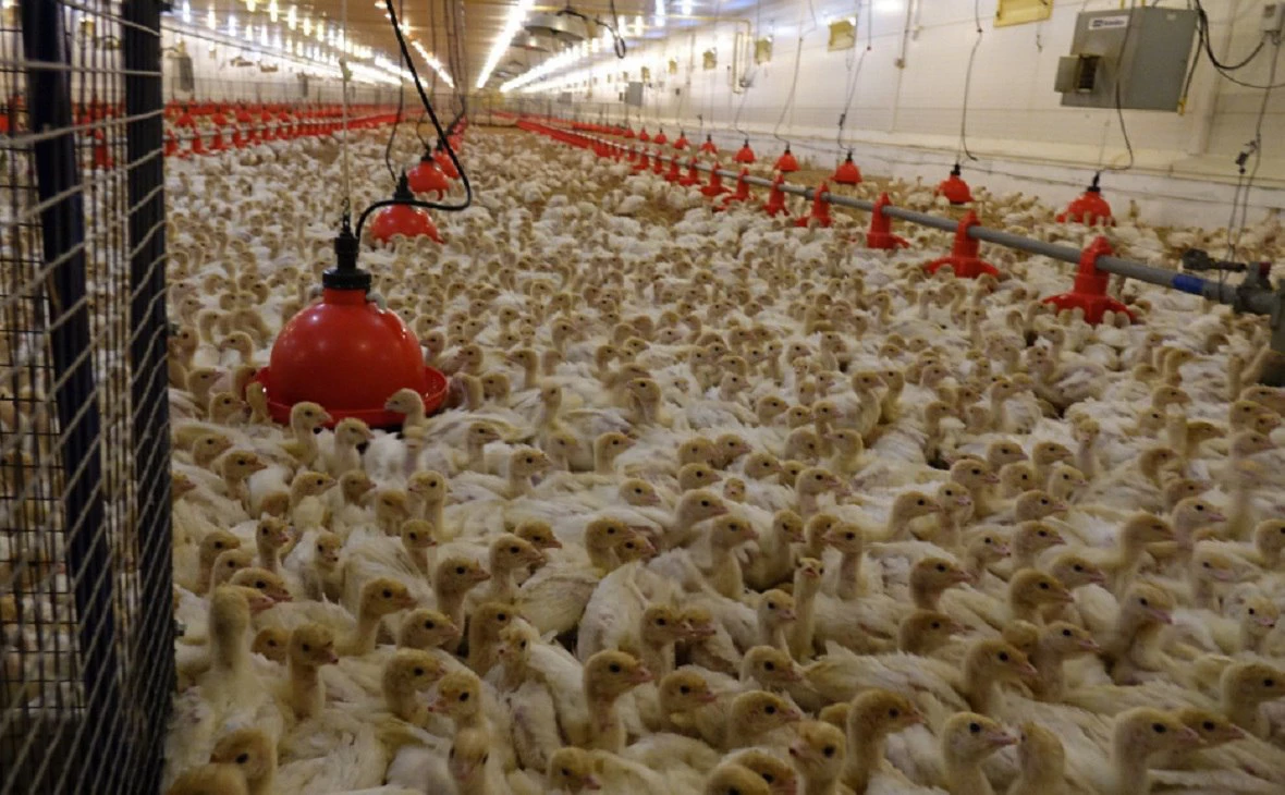 пресс-служба правительства РБ