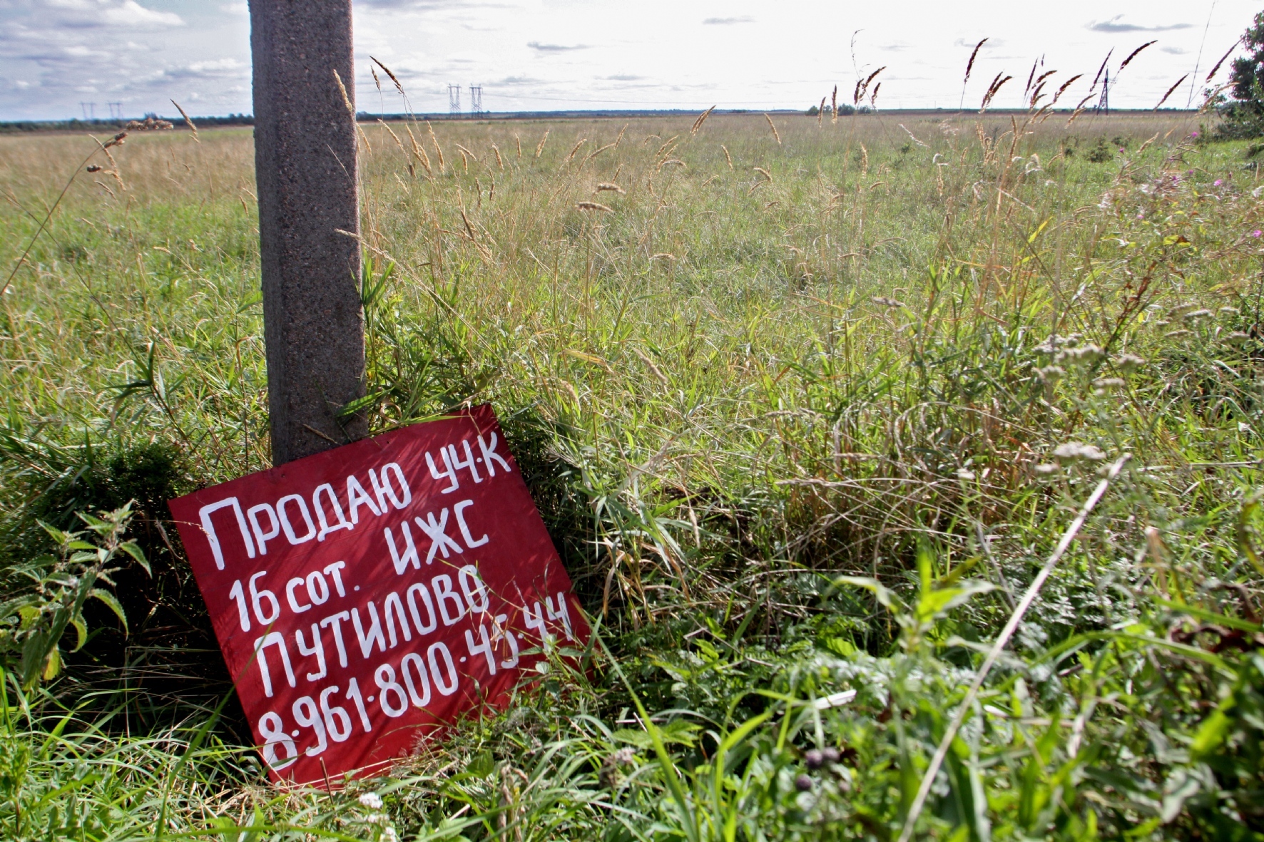 Фото: Вышинский Денис/PhotoXPress.ru