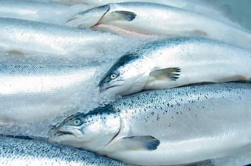 Федеральное агентство по рыболовству