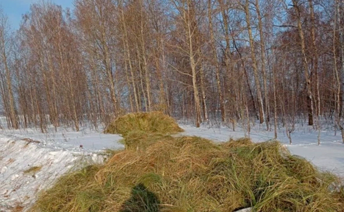 Минприроды Новосибирской области