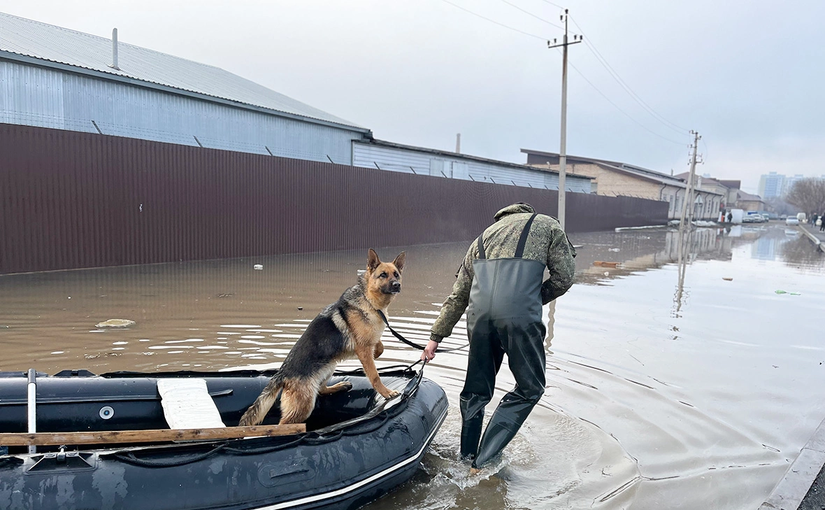 Мария Лисицына / РБК
