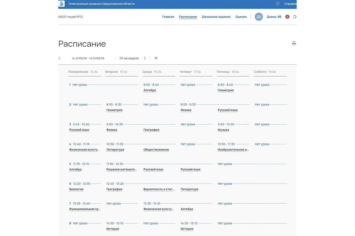 Примеры страниц электронного дневника (г. Екатеринбург)