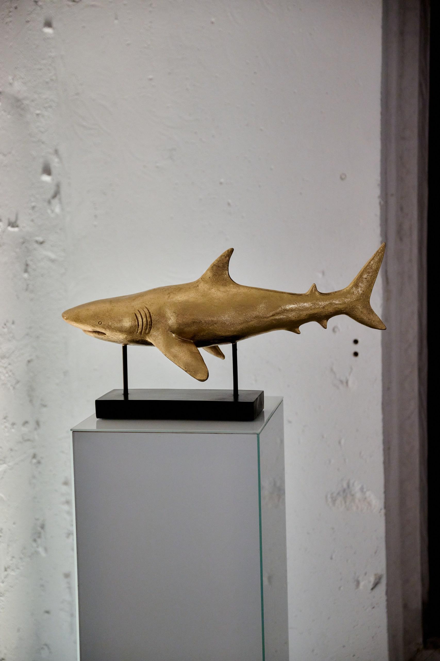 Фото: Сергей Бойко для РБК