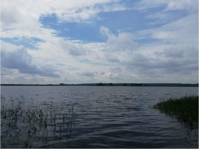 Фото: РБК Вологодская область