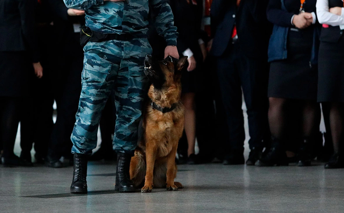 Андрей Никеричев / АГН «Москва»