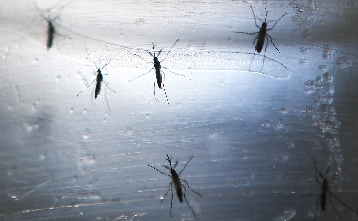 Mario Tama / Getty Images