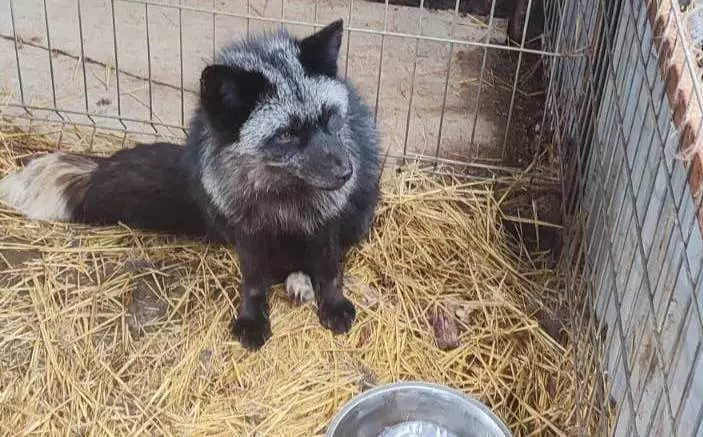 Пресс-служба правительства Нижегородской области