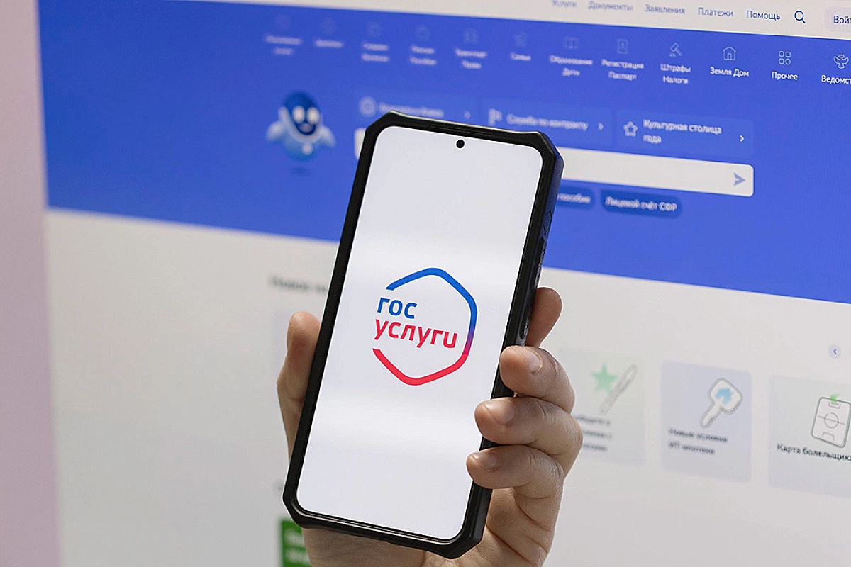 Подписку на уведомления о бурях на портале госуслуг предлагают сделать добровольной