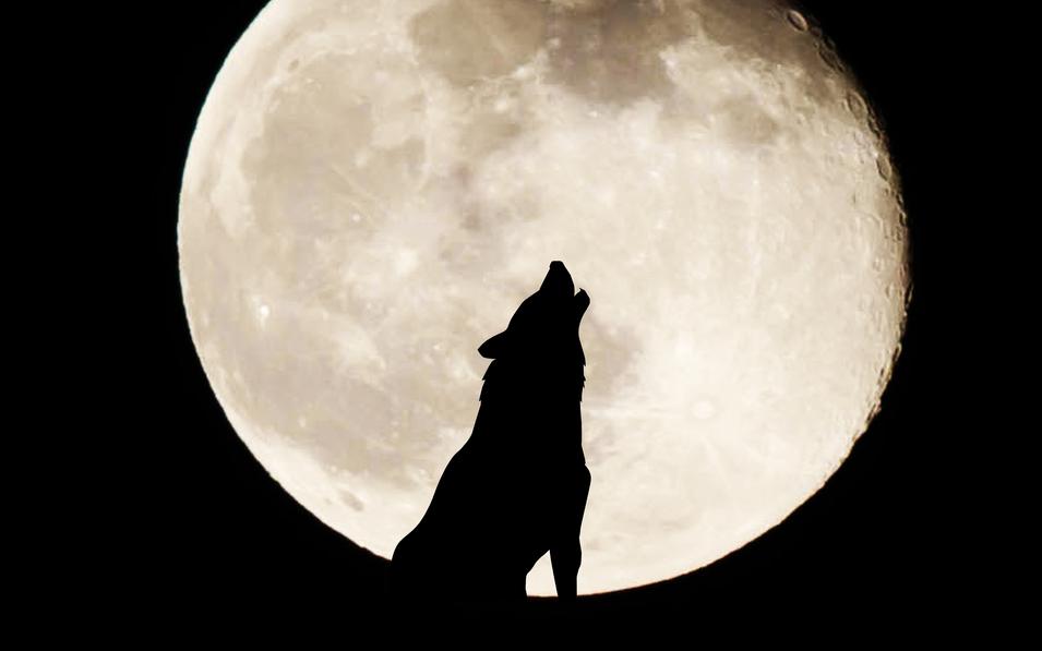 Фото: Shutterstock