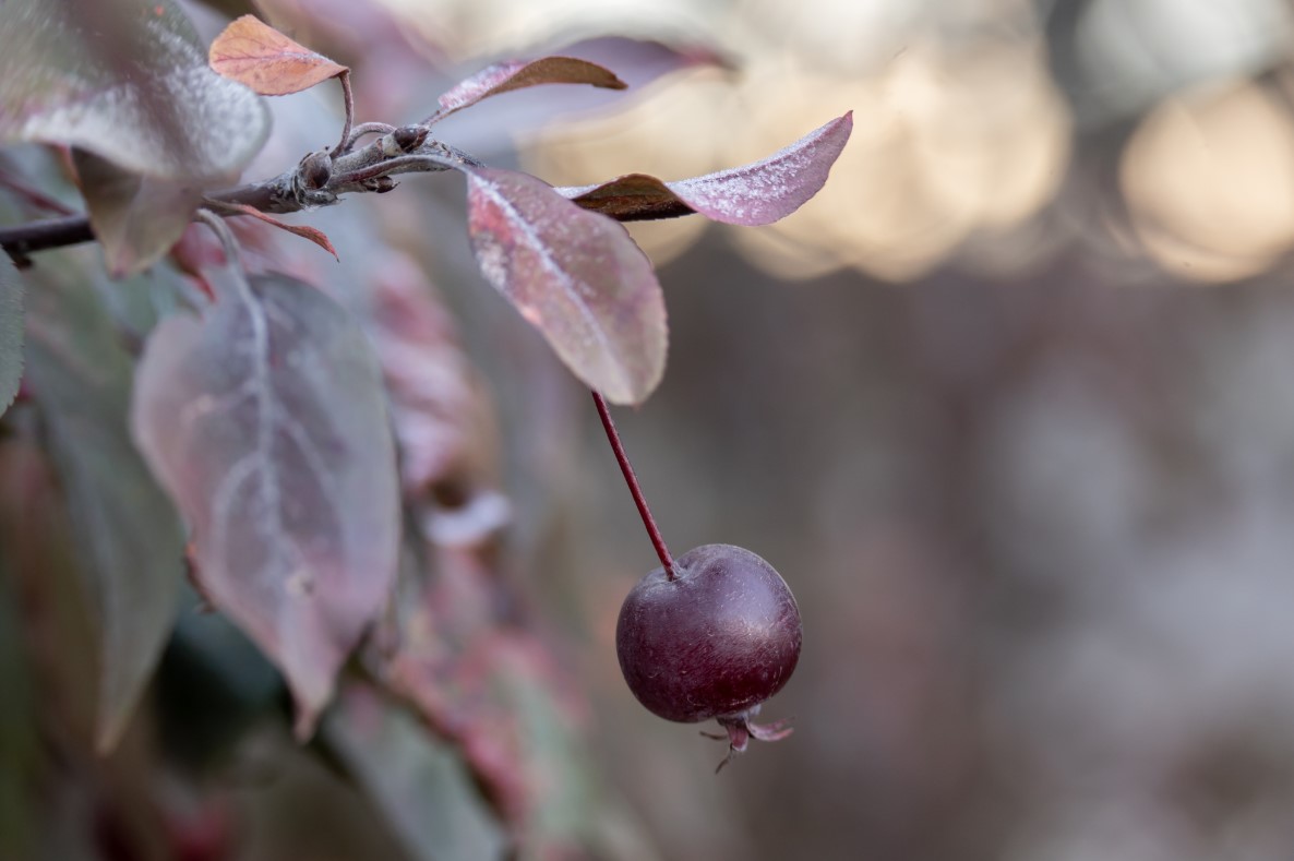 Фото: Руслан Яроцкий / URA.RU