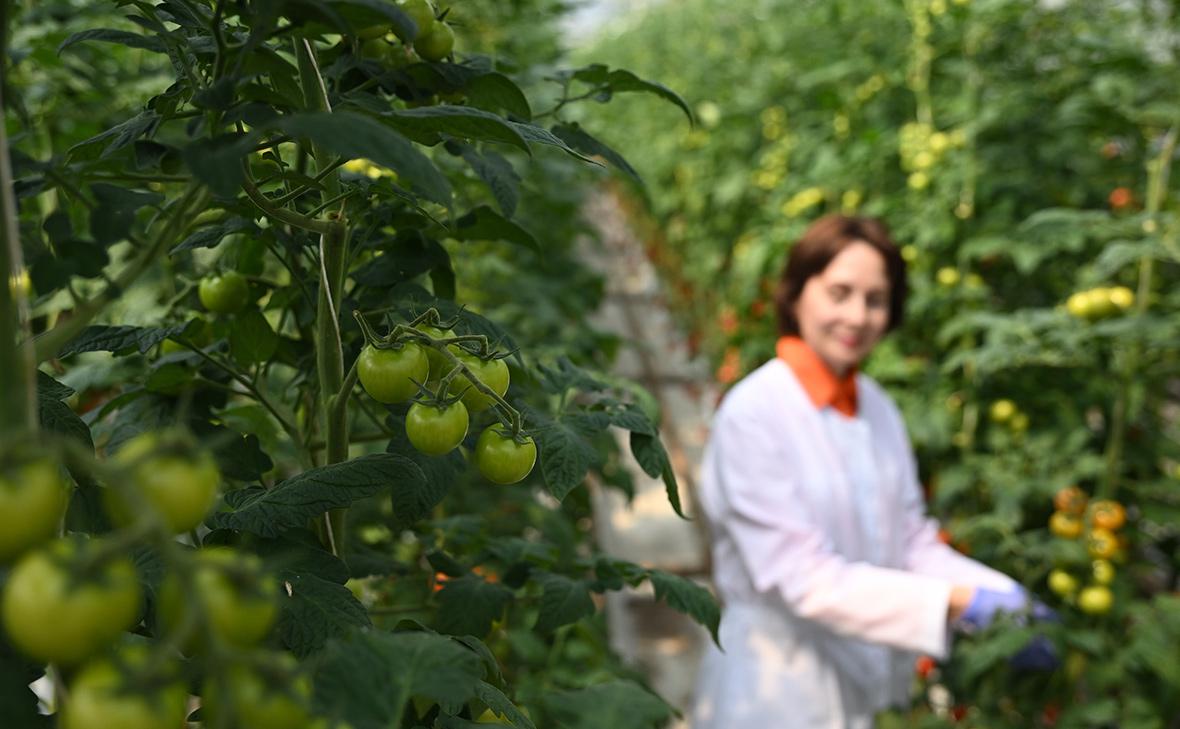 Фото: Алексей Майшев / РИА Новости