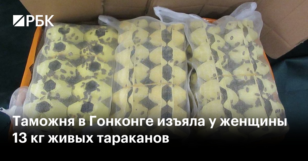 Таможня в Гонконге изъяла у женщины 13 кг живых тараканов