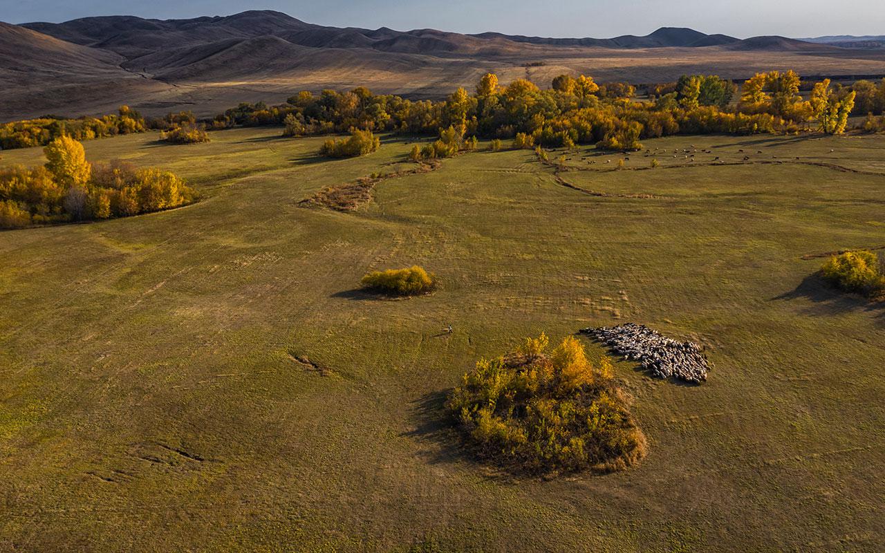 Фото: пресс-служба