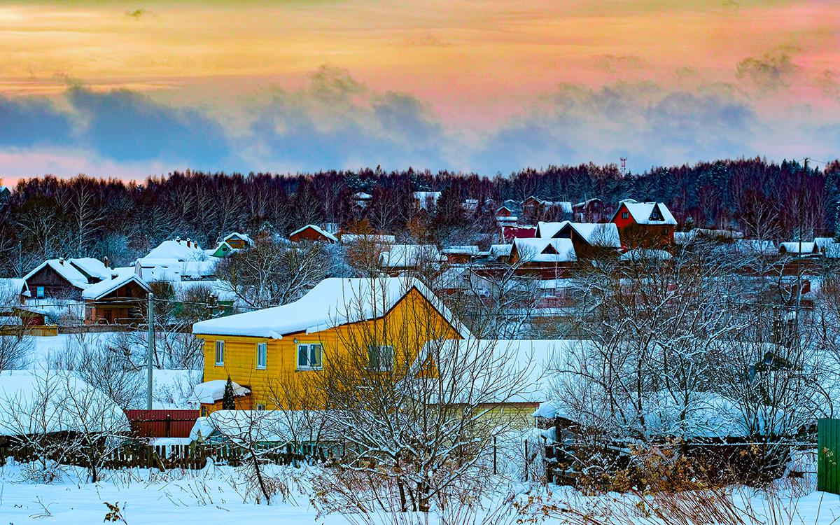 Фото: Vereshchagin Dmitry / Shutterstock / FOTODOM