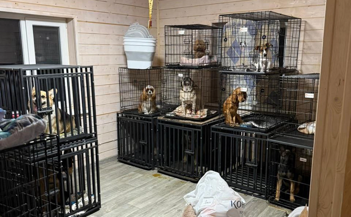 Прокуратура Московской области