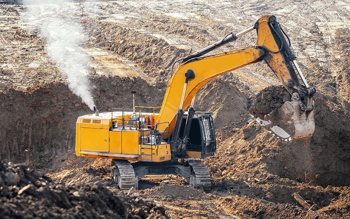 Фото: Shutterstock 