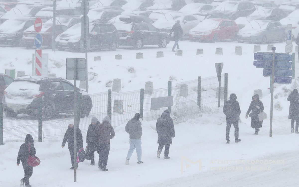 Фото: Василий Кузьмичёнок / Агентство «Москва»