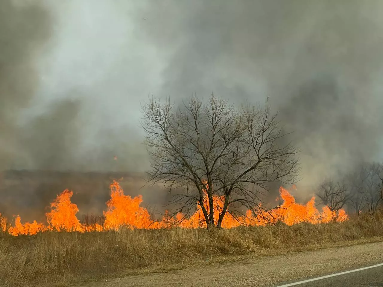 РБК Приморье