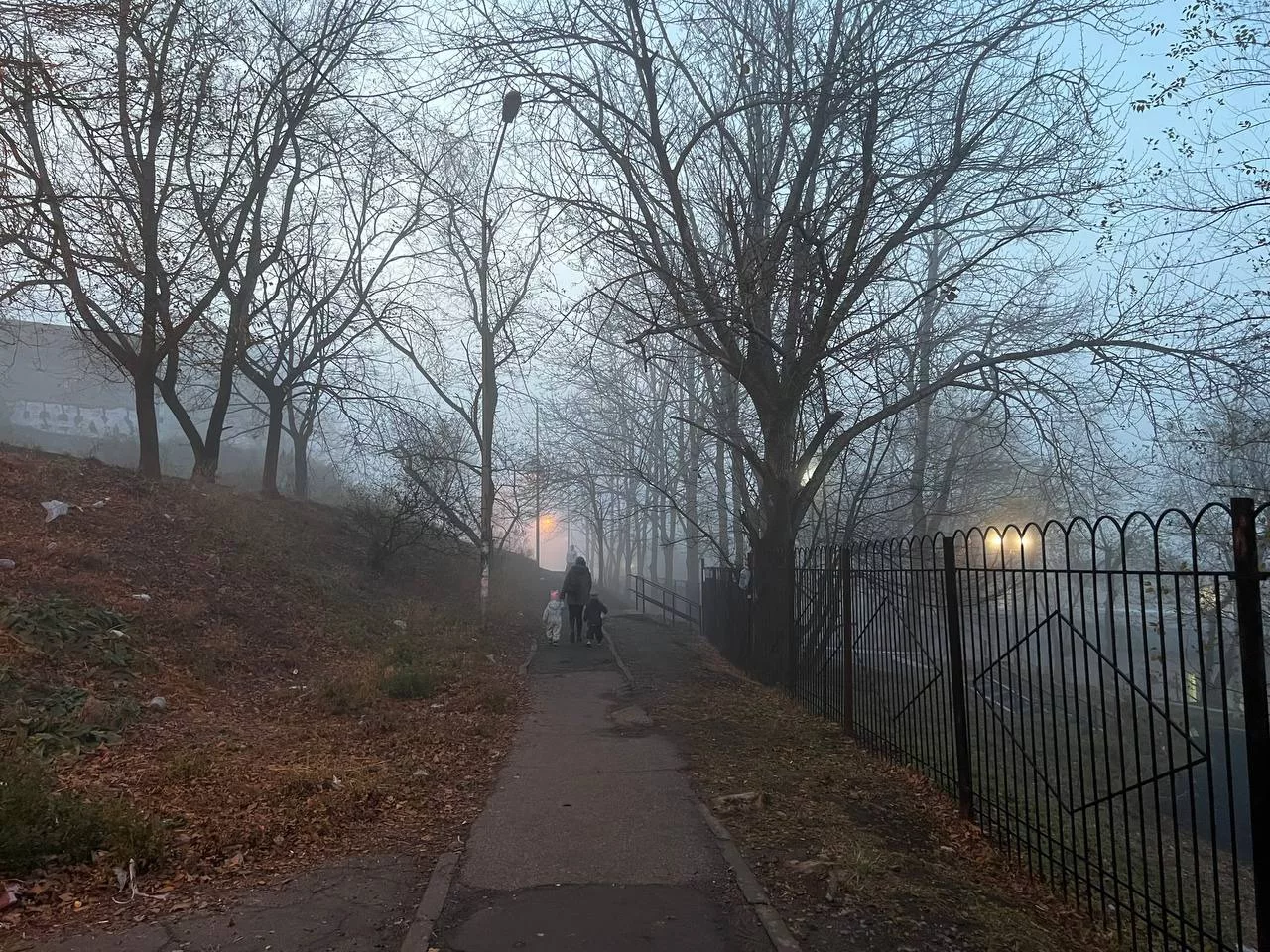 РБК Приморье