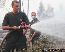Количество очагов лесных пожаров в Сибири выросло вдвое