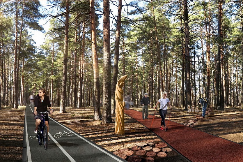 Проектируемая транспортная сеть парка включает велодорожку вдоль направления главной аллеи, а также трассу для скандинавской ходьбы и тропу для пеших прогулок