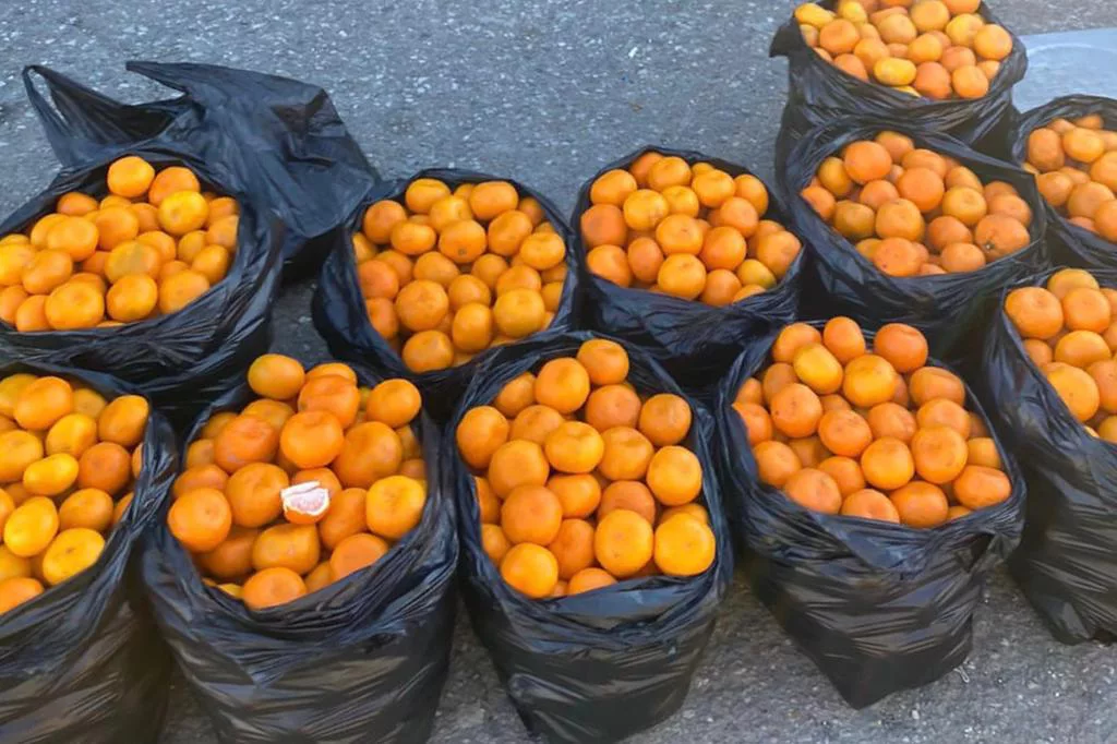 РБК Приморье 