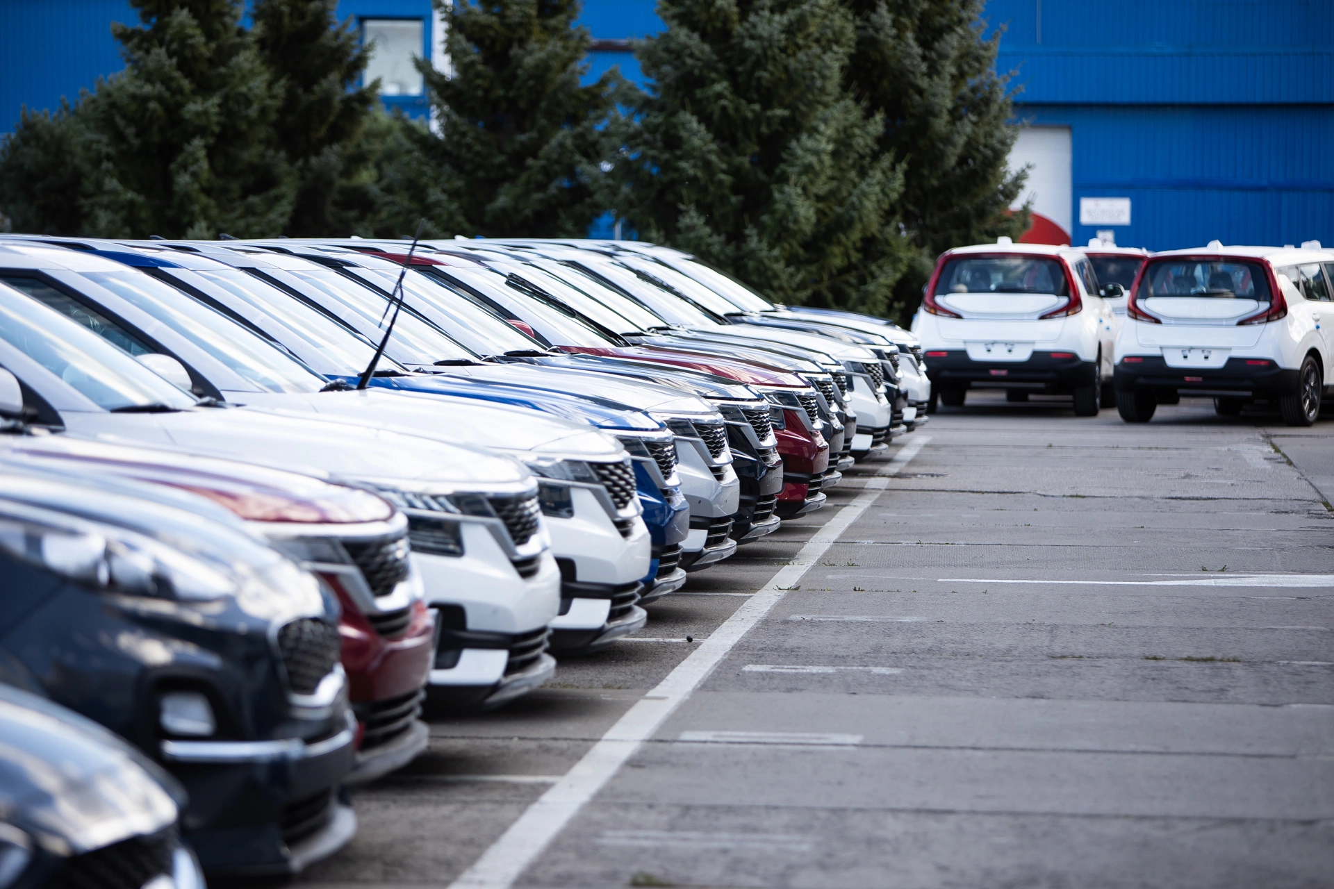 Александр Подгорчук