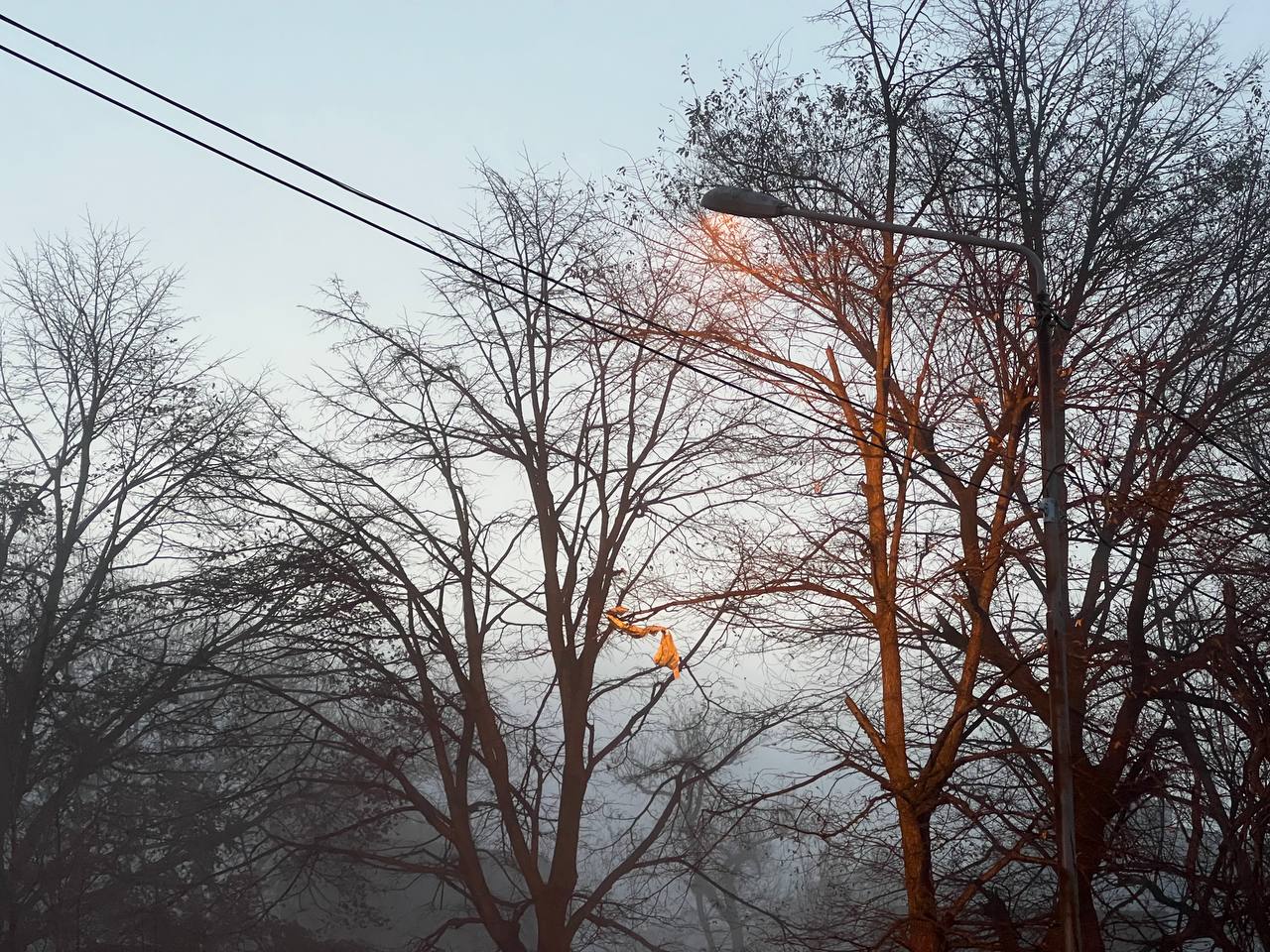 Фото: РБК Приморье