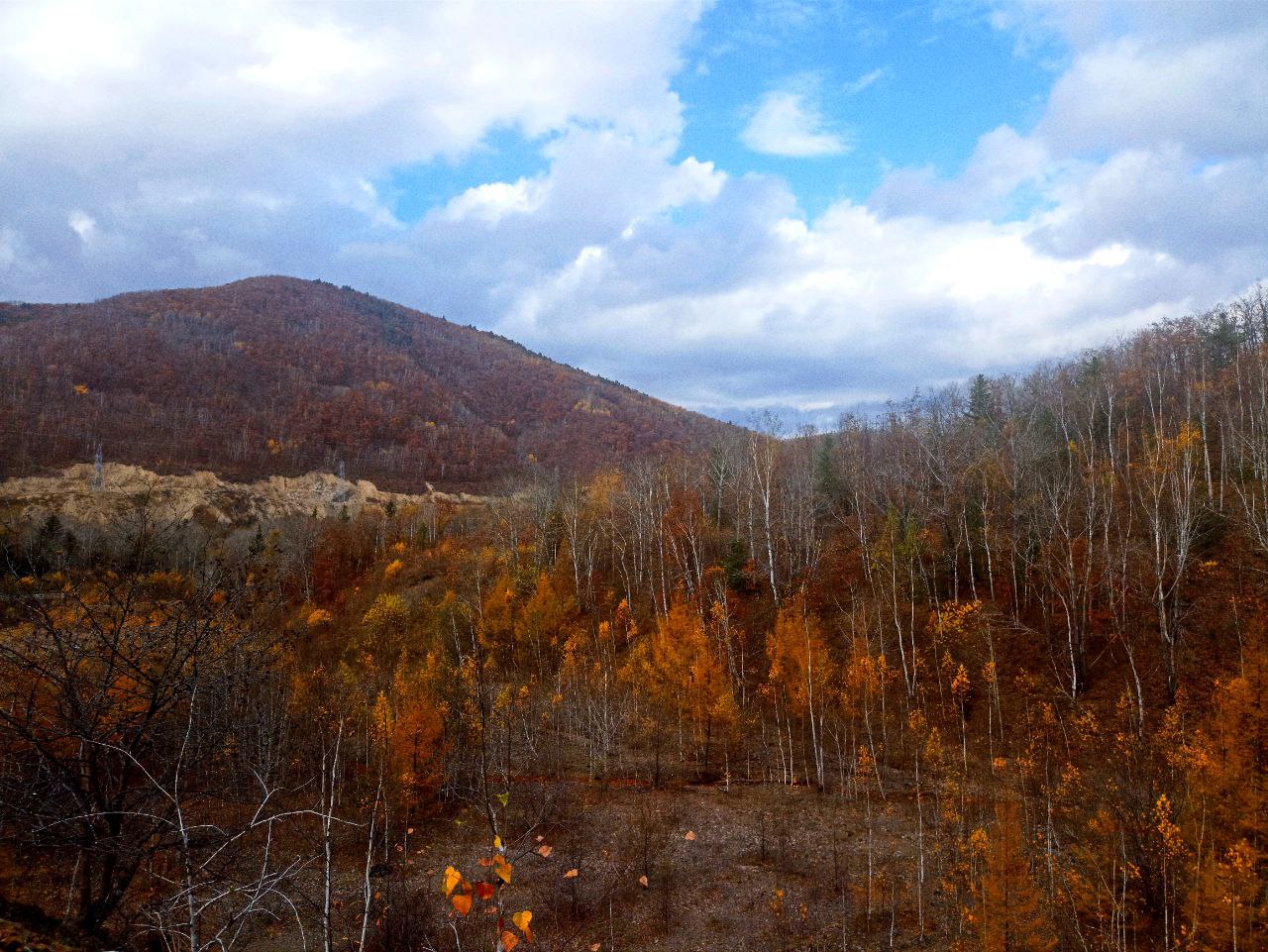 Фото: РБК Приморье