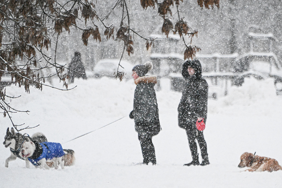 Причиной метели и&nbsp;снегопада стала серия атмосферных фронтов атлантического циклона.
